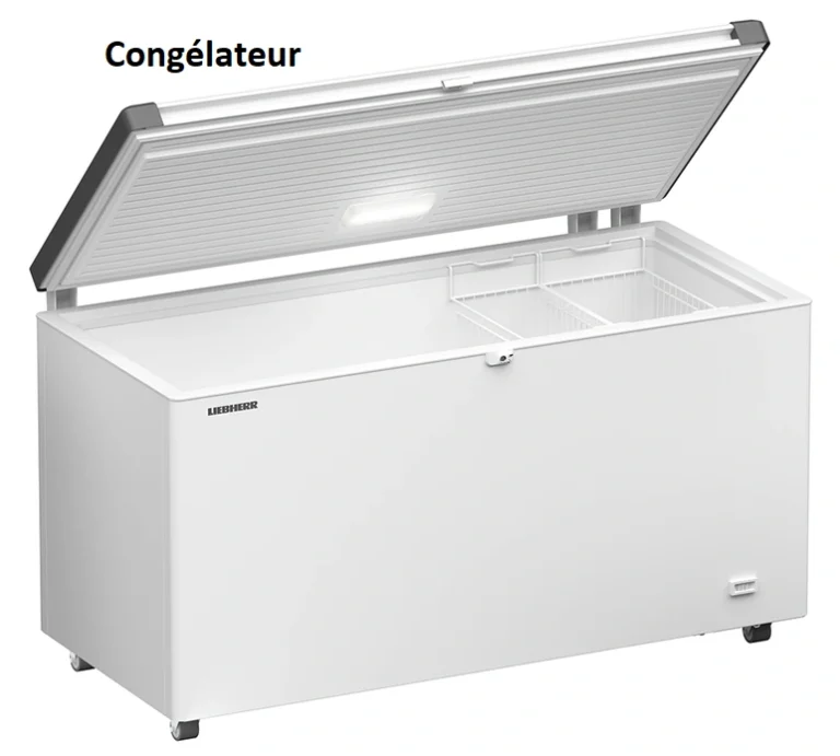 CONGELATEUR
